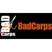 BadCarps Dipy