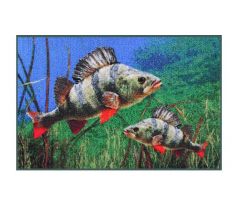 Delphin Rohož 3D okouni 60x40cm