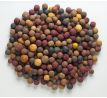 Mivardi Vnadící boilies Rapid - Multi mix