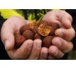 Mivardi Boilies Rapid Champion Platinum - B17 250g 24mm - NATURAL CONCEPT