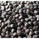 Pstruhové Pelety Extra Premium s Astaxantinem - 4,5mm