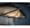 Giants fishing Prut Gaube Heavy Feeder 12ft, 50-130g