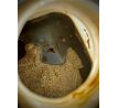 LK Baits Nutrigo Balanc Monster Crab 200ml