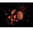 Boilies Delphin BreaX / HotHELL
